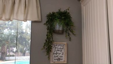 Photo of வீட்டுத் தோட்டம்  பற்றி பார்ப்போம்….!!