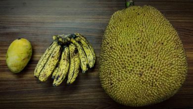 Photo of மா ,பலா ,வாழை யில்  உள்ள நன்மைகள் எவ்ளோ தெரியுமா !