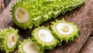 Photo of பாகற்காய் சாற்றின் நன்மைகள்!!