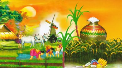 Photo of எதற்காக பொங்கல் பண்டிகை  கொண்டாடப்படுகிறது….? அதன் சிறப்புகள் என்ன…?