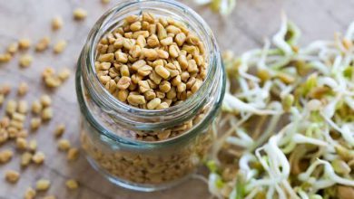 Photo of தினமும் முளைக்கட்டிய வெந்தயத்தை  சாப்பிடுவதன்  பலன்கள்….!!