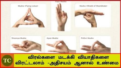 Photo of முத்திரைகளின் மருத்துவ தன்மை !