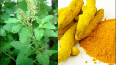 Photo of துளசி தண்ணீரை மஞ்சள் கலந்து  குடிப்பதால் கிடைக்கும் நன்மைகள்…!