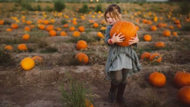 Photo of பூசணிக்காயில் உள்ள அற்புதசக்திகள்!