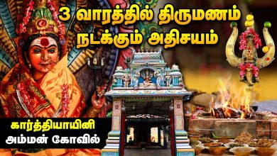 Photo of கல்யாண வரம் தரும் காத்யாயனி அம்மன் கோவில்.