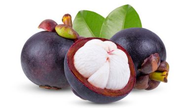 Photo of இது தெரிந்தால், இனி மங்குஸ்தான் பழங்களைத் தேடி வாங்கி சாப்பிடுவீங்க!