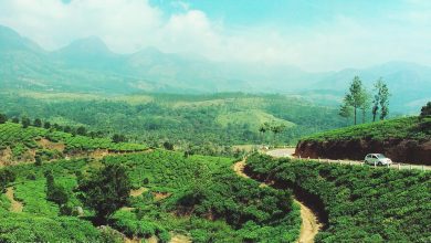 Photo of தேனியில் பட்ஜெட் செல்ல சூப்பர் ஸ்பார்ட் ?