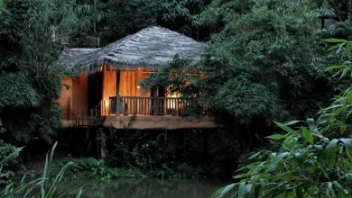 Photo of வயநாட்டில் போக பெஸ்ட் டைம் எது தெரியுமா?