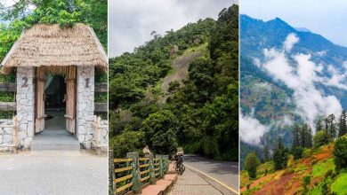 Photo of பட்ஜெட்டில் எளிமையானசுற்றிப்பார்க்க மசினகுடியை !