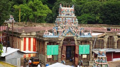 Photo of குற்றாலநாதர் திருக்கோவில், குற்றாலம்