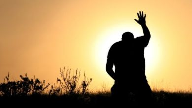 Photo of விடாமுயற்சிக்கு வழிவிடும் கடவுள்