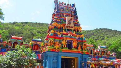 Photo of பழமுதிர்ச்சோலை முருகன் கோவில்
