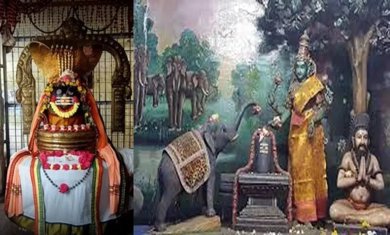 அருள்மிகு ஜம்புகேஸ்வரர் கோவில் – திருவானைக்காவல்
