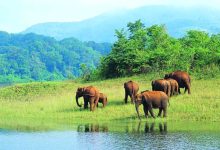 Photo of ஒரு நாள் ட்ரிப் கேரளாவிற்குப் ப்ளான் பண்றீங்களா? தேக்கடிக்கு ஒரு விசிட் அடிங்க!